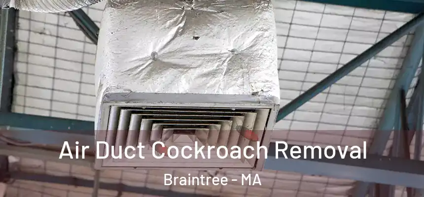  Air Duct Cockroach Removal Braintree - MA
