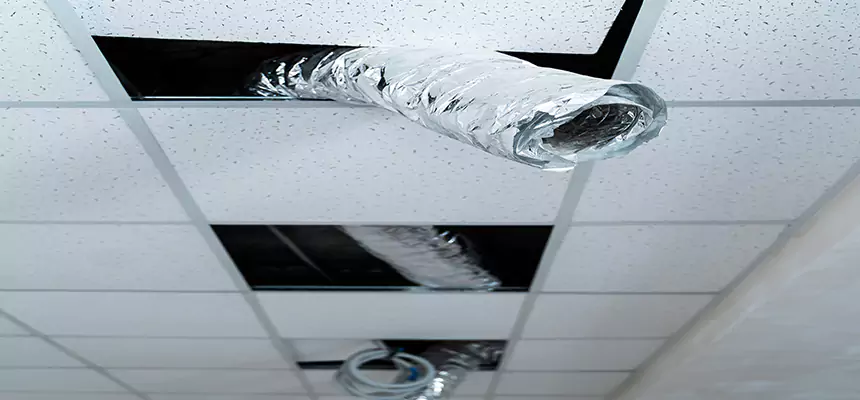 Our Air Duct Pet Hair Removal Services in Braintree, MA