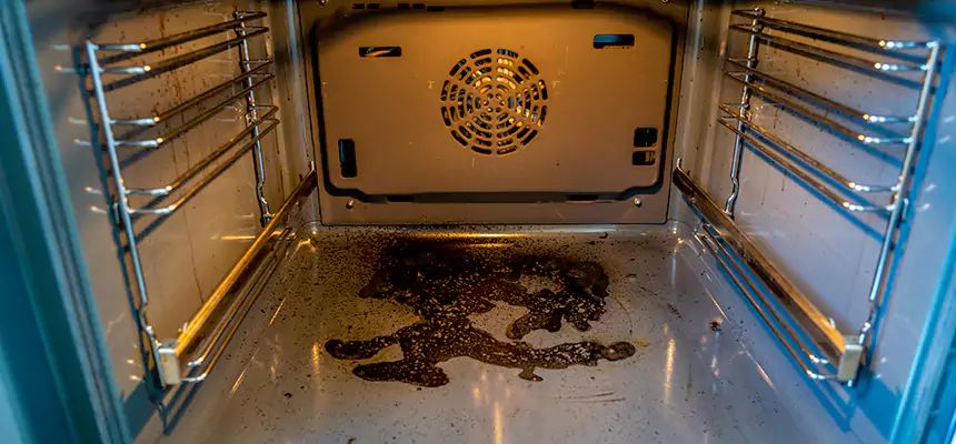 Our Dryer Vent Mold Cleaning Services in Braintree, MA