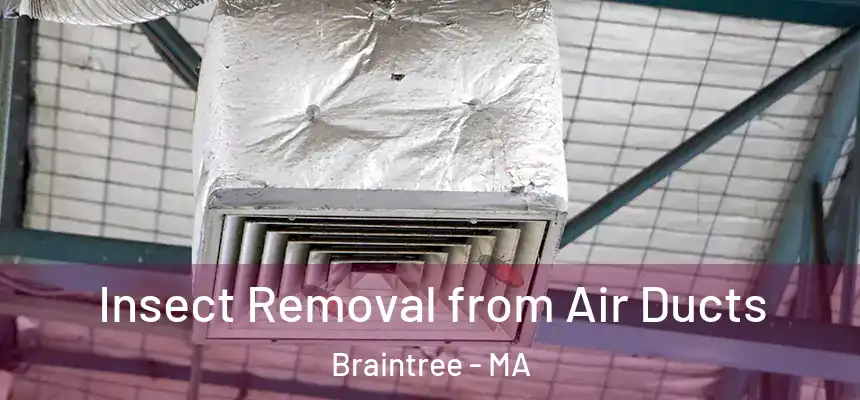 Insect Removal from Air Ducts Braintree - MA