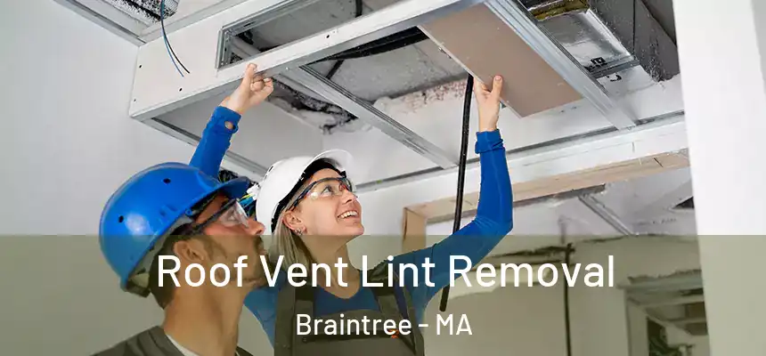  Roof Vent Lint Removal Braintree - MA