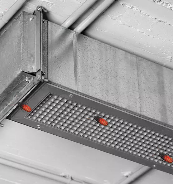 About Air Duct Cockroach Removal in Braintree, MA