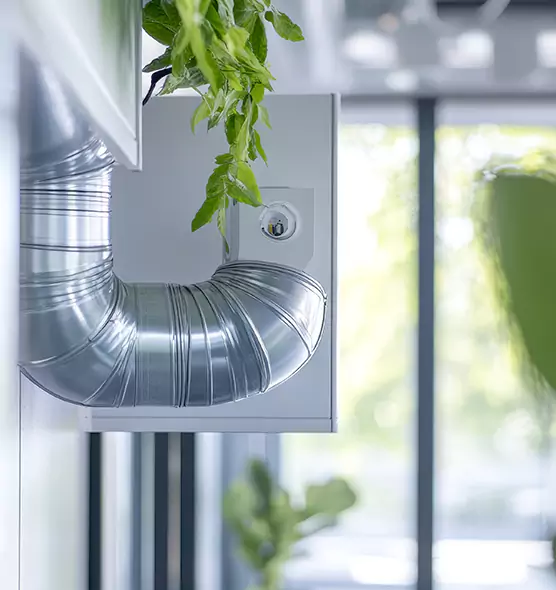 Professional Eco-Safe Dryer Vent Cleaning in Braintree, MA