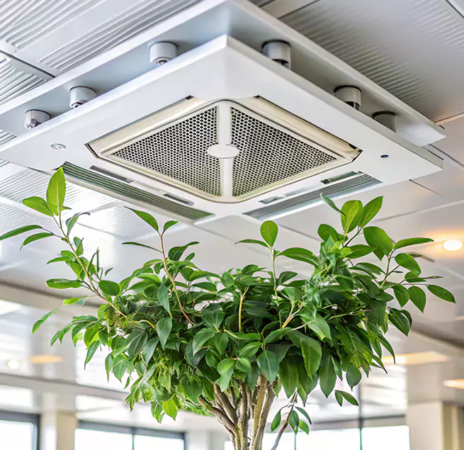 Why Homeowners & Businesses Trust Us in Braintree, MA?