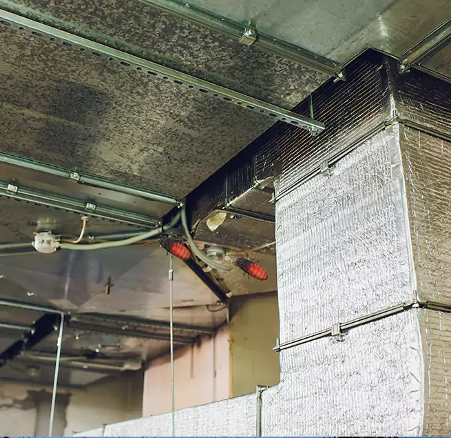 Why Homeowners & Businesses Trust Us Braintree, MA?